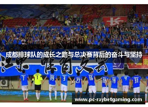 成都排球队的成长之路与总决赛背后的奋斗与坚持