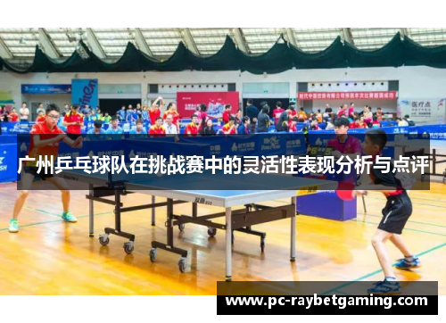 广州乒乓球队在挑战赛中的灵活性表现分析与点评